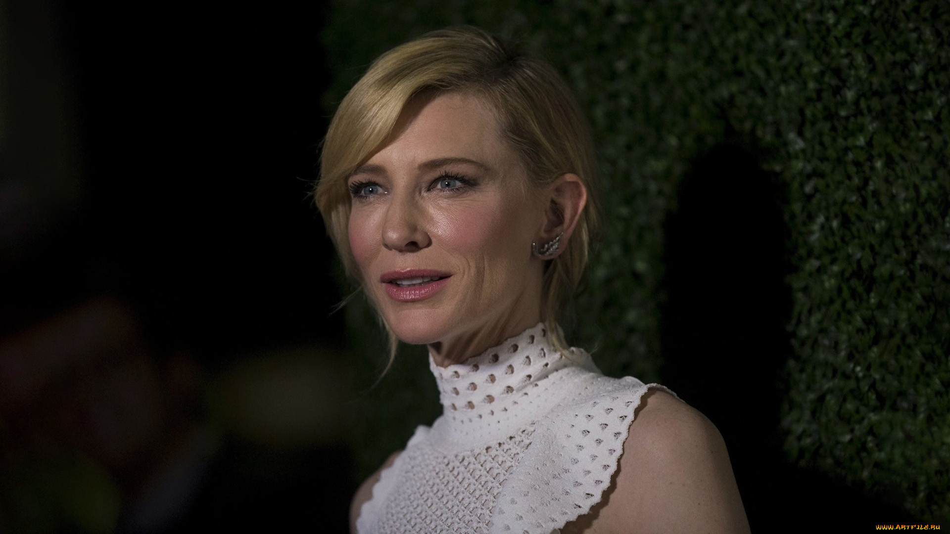, cate blanchett, cate, blanchett